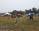 20140613-comp-0008