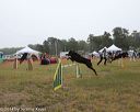 20140613-comp-0009
