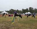 20140613-comp-0017