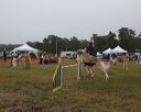 20140613-comp-0020