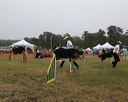 20140613-comp-0021