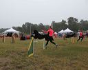20140613-comp-0023
