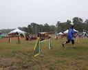 20140613-comp-0024