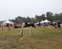 20140613-comp-0026