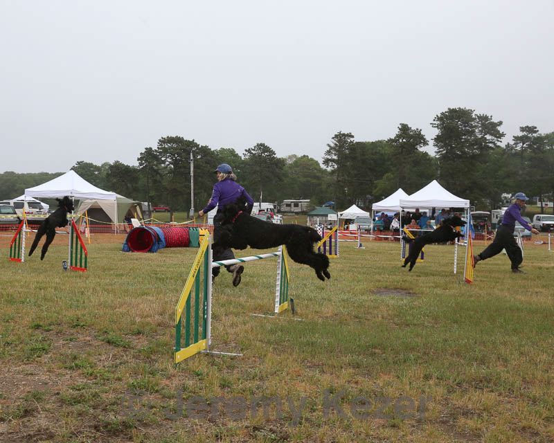 20140613-comp-0017.jpg