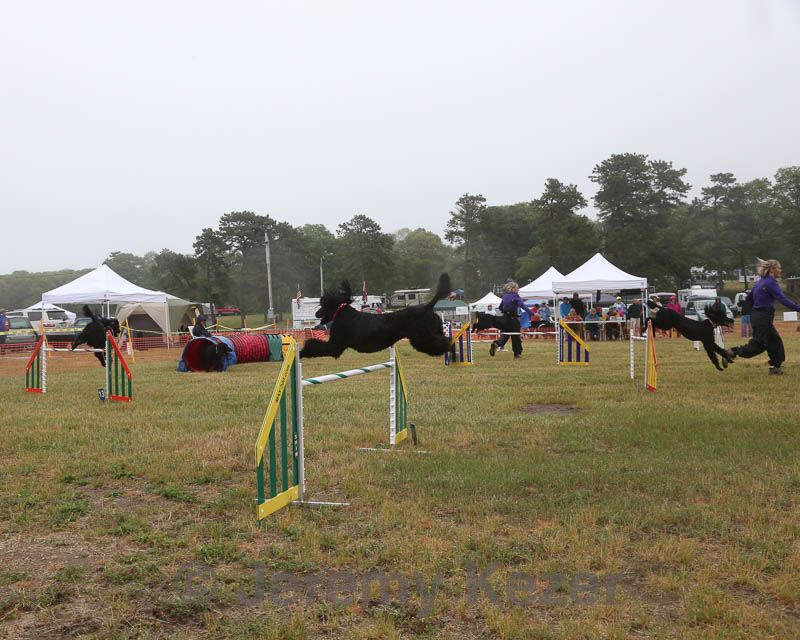 20140613-comp-0026.jpg