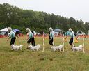 20140613-comp-0014
