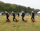 20140613-comp-0015