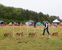 20140613-comp-0016