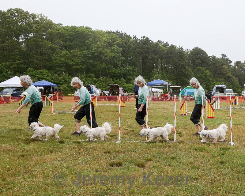20140613-comp-0014.jpg
