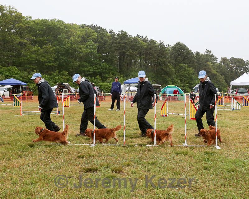 20140613-comp-0015.jpg