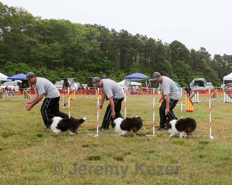 20140613-comp-0011.jpg