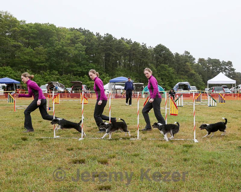 20140613-comp-0012.jpg