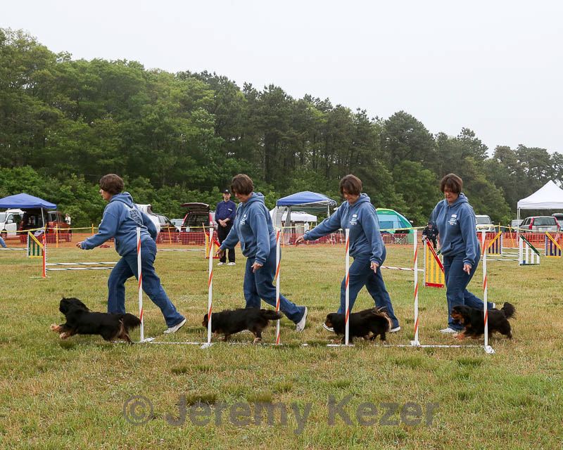20140613-comp-0013.jpg