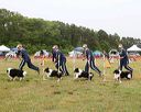 20140613-comp-0006
