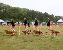 20140613-comp-0009