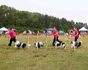 20140613-comp-0010