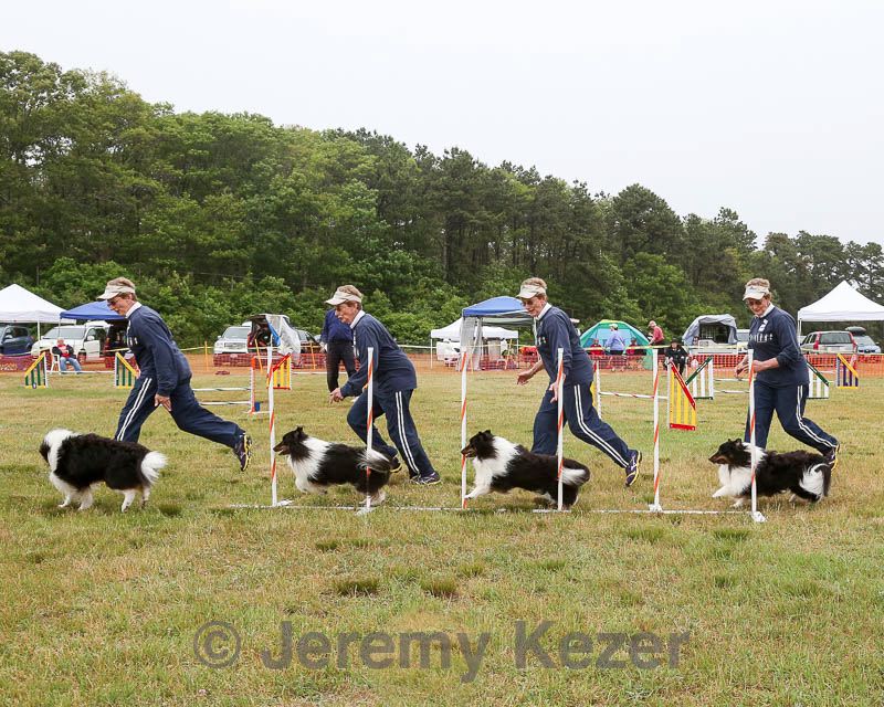 20140613-comp-0006.jpg