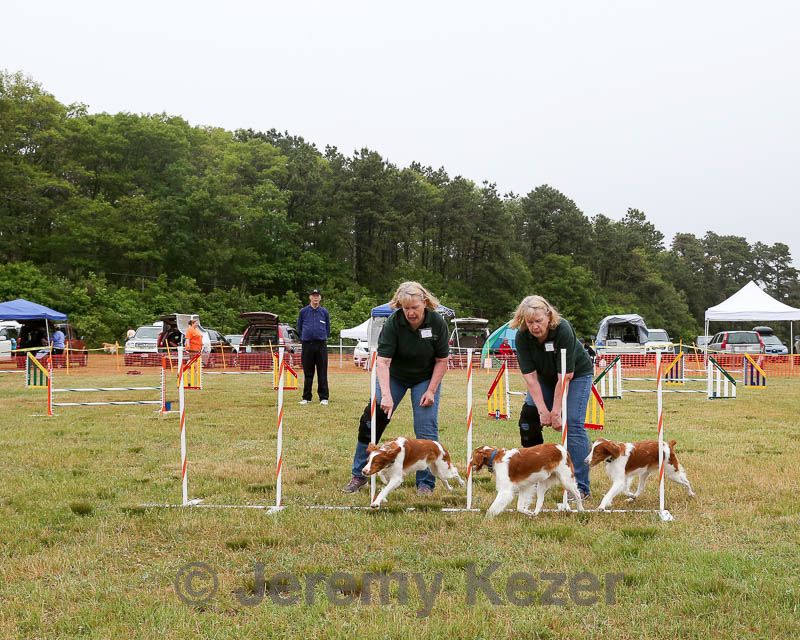 20140613-comp-0007.jpg