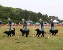 20140613-comp-0004