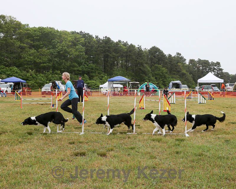 20140613-comp-0005.jpg