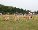 20140613-comp-0001