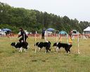20140613-comp-0002