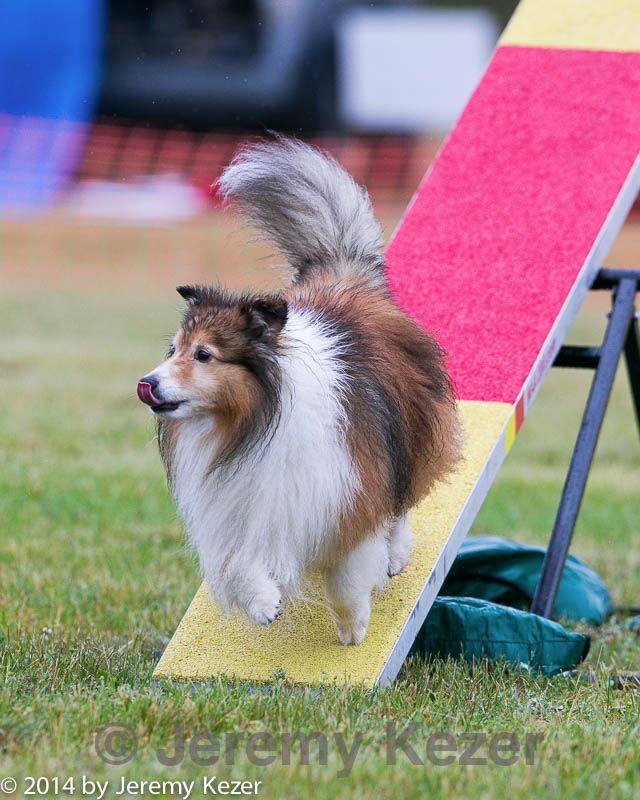 20140613-0414.jpg