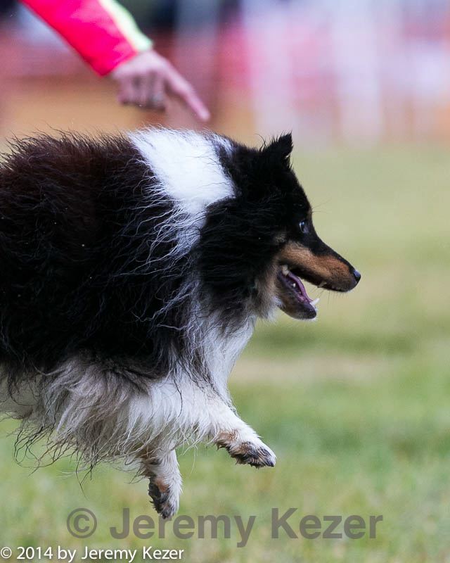 20140613-0387.jpg