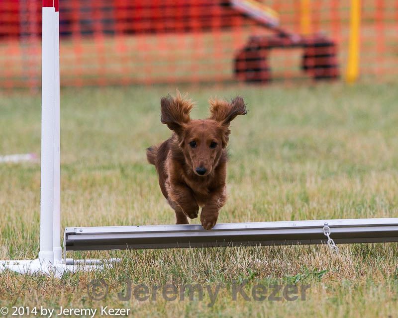 20140613-0647.jpg
