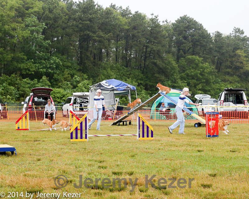 20140614-comp-0006.jpg