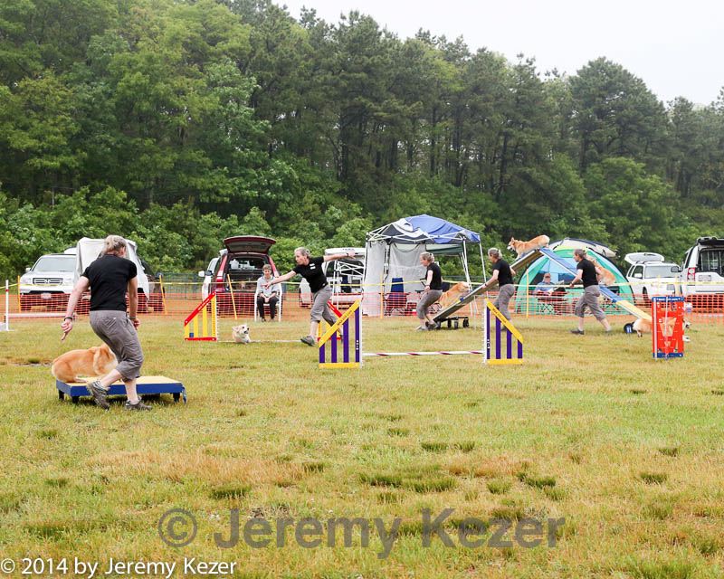 20140614-comp-0007.jpg