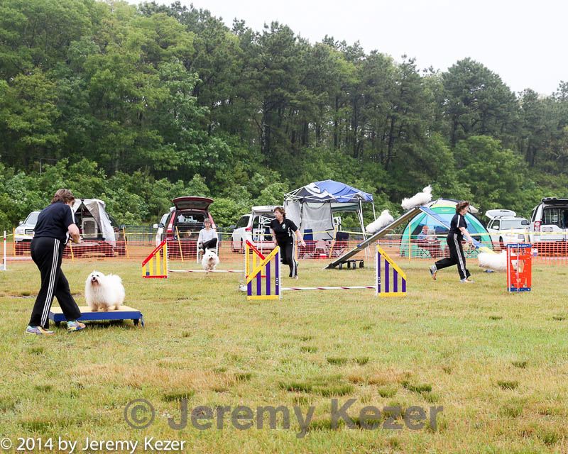20140614-comp-0008.jpg