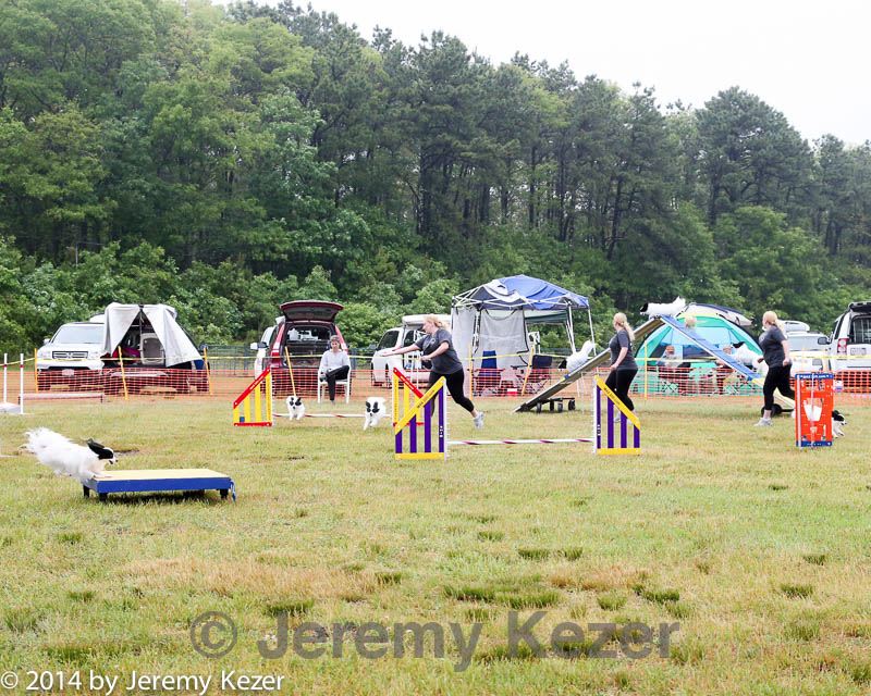 20140614-comp-0011.jpg