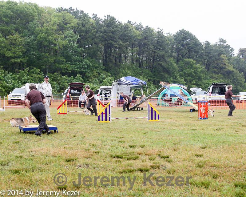 20140614-comp-0012.jpg