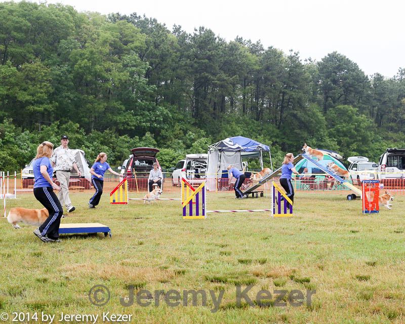 20140614-comp-0013.jpg
