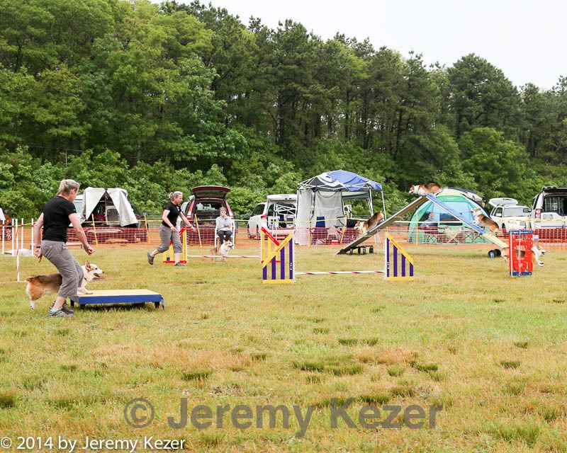 20140614-comp-0020.jpg