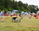 20140614-comp-0039