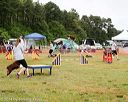 20140614-comp-0041
