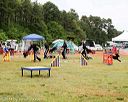 20140614-comp-0043