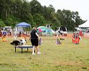 20140614-comp-0053