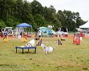 20140614-comp-0054