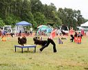 20140614-comp-0058