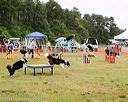 20140614-comp-0061