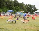 20140614-comp-0071
