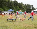 20140614-comp-0078