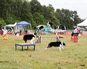 20140614-comp-0079