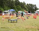 20140614-comp-0082