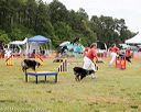 20140614-comp-0086