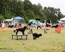 20140614-comp-0089